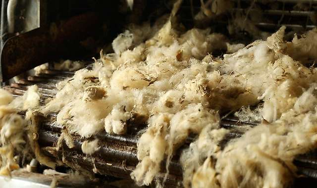 Driving of the wool by the loader and introduction into the soaking tank 2/4