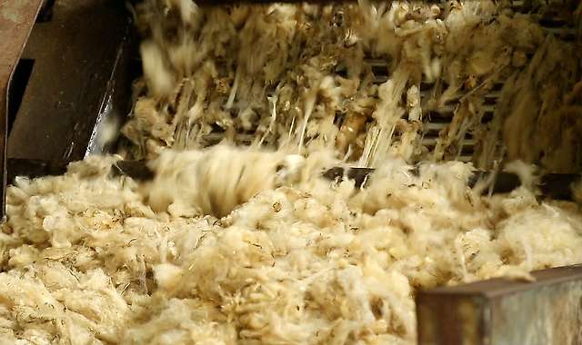 Introduction of wool into the scouring machine 2/4