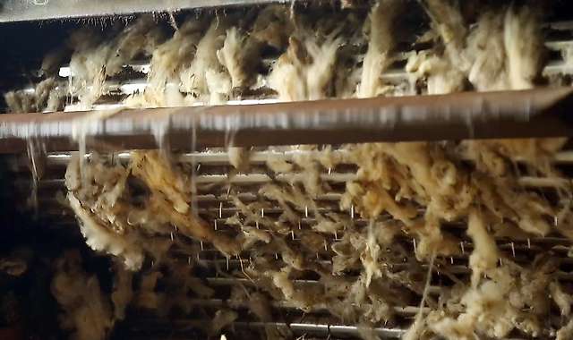 Driving of the wool by the loader and introduction into the soaking tank 1/4