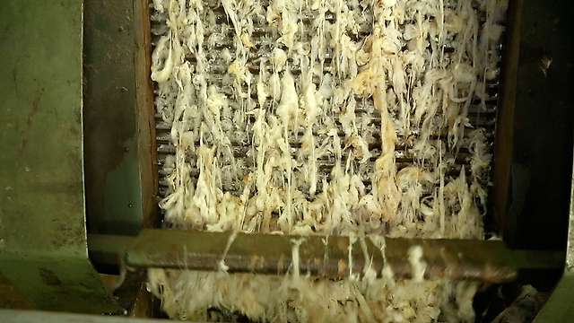 Admission of wool into the drying block with a loader 2/2