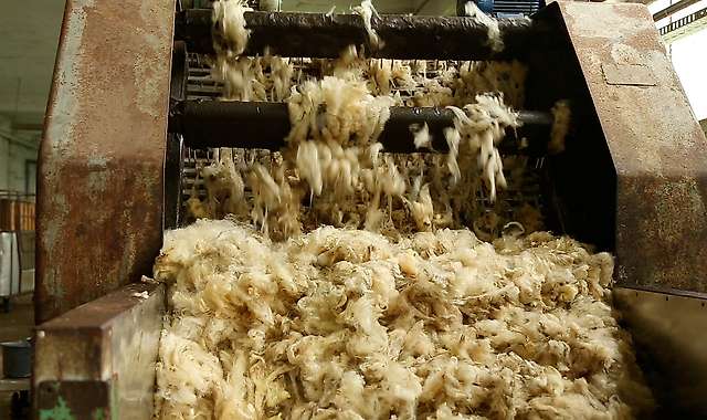 Introduction of wool into the scouring machine 3/4