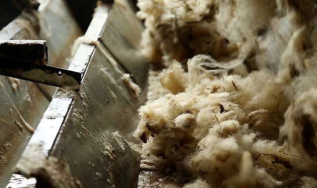 Driving of the wool by the loader and introduction into the soaking tank 3/4