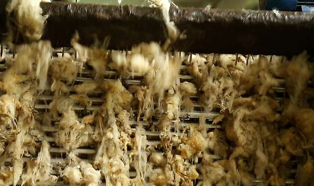 Introduction of wool into the scouring machine 4/4
