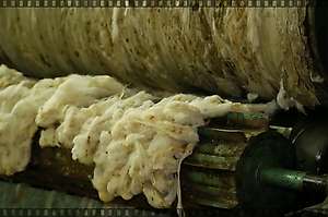 Video of the wool scouring in Vučje for Revolana