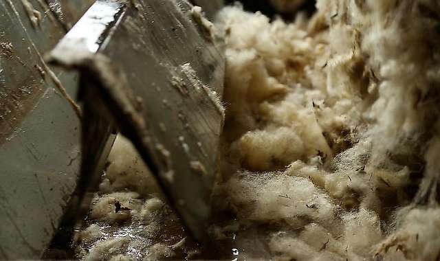 Driving of the wool by the loader and introduction into the soaking tank 4/4