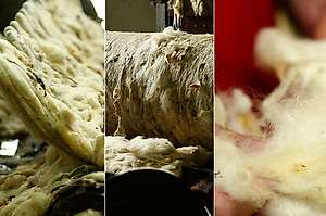 The scouring of wool in Serbia for Revolana products