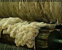 Video of the wool scouring in Vučje for Revolana