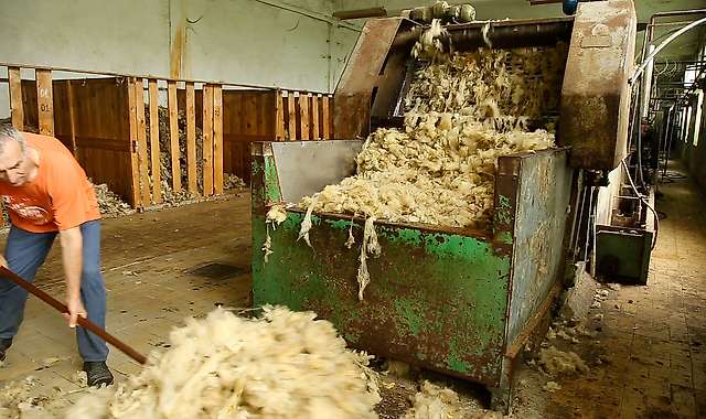 Introduction of wool into the scouring machine 1/4