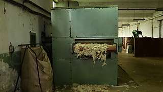 Exit of the washed wool from the drying block 1/3