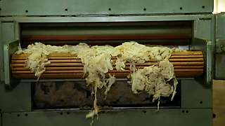 Exit of the washed wool from the drying block 2/3