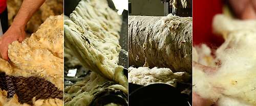 The scouring of wool in Serbia for Revolana products
