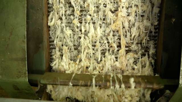 Admission of wool into the drying block with a loader 2/2
