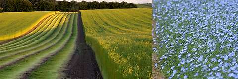 Discover why linen is so fantastic to sleep on