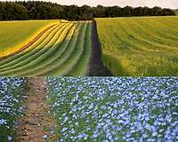 Discover why linen is so fantastic to sleep on