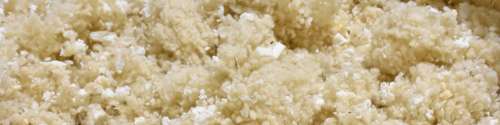 Pillows : Refill wool/latex