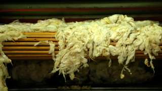 Exit of the washed wool from the drying block 3/3