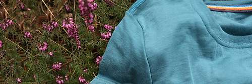 Casual wear, Merino base-layers : Womens short sleeve T-shirt