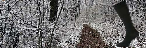 Wool sport socks : Baikal knee