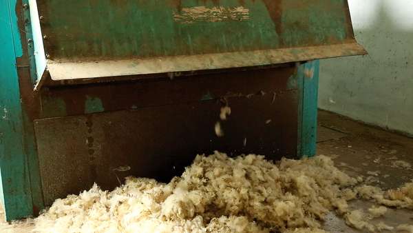 Exit of the wool from the opener.