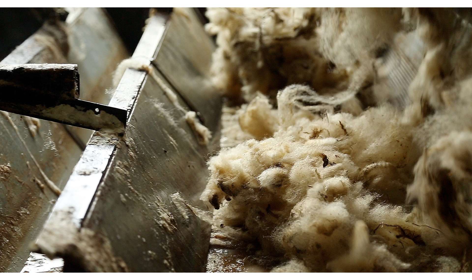The scouring of wool in Serbia for Revolana products Biodom (en)