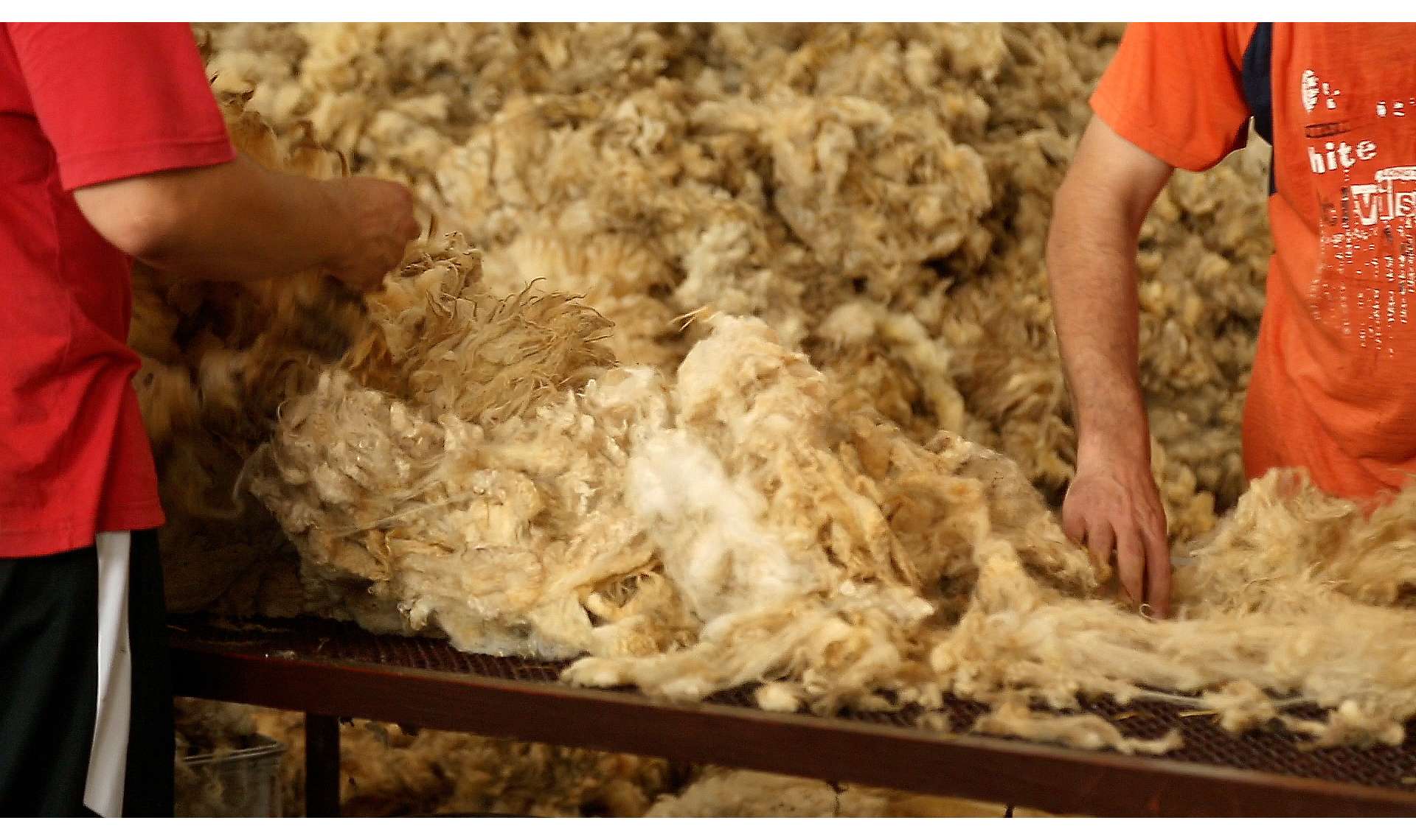 The scouring of wool in Serbia for Revolana products Biodom.bio (en)
