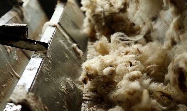 Driving of the wool by the loader and introduction into the soaking tank 3/4