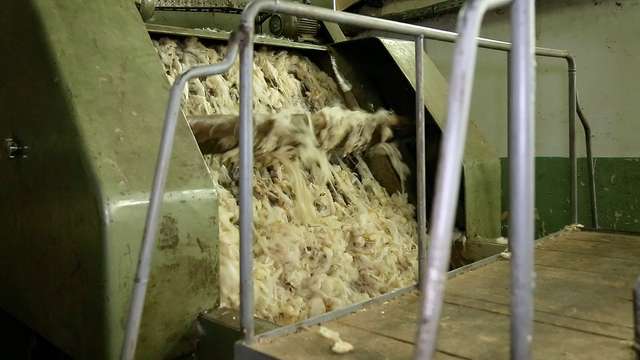 Admission of wool into the drying block with a loader 1/2