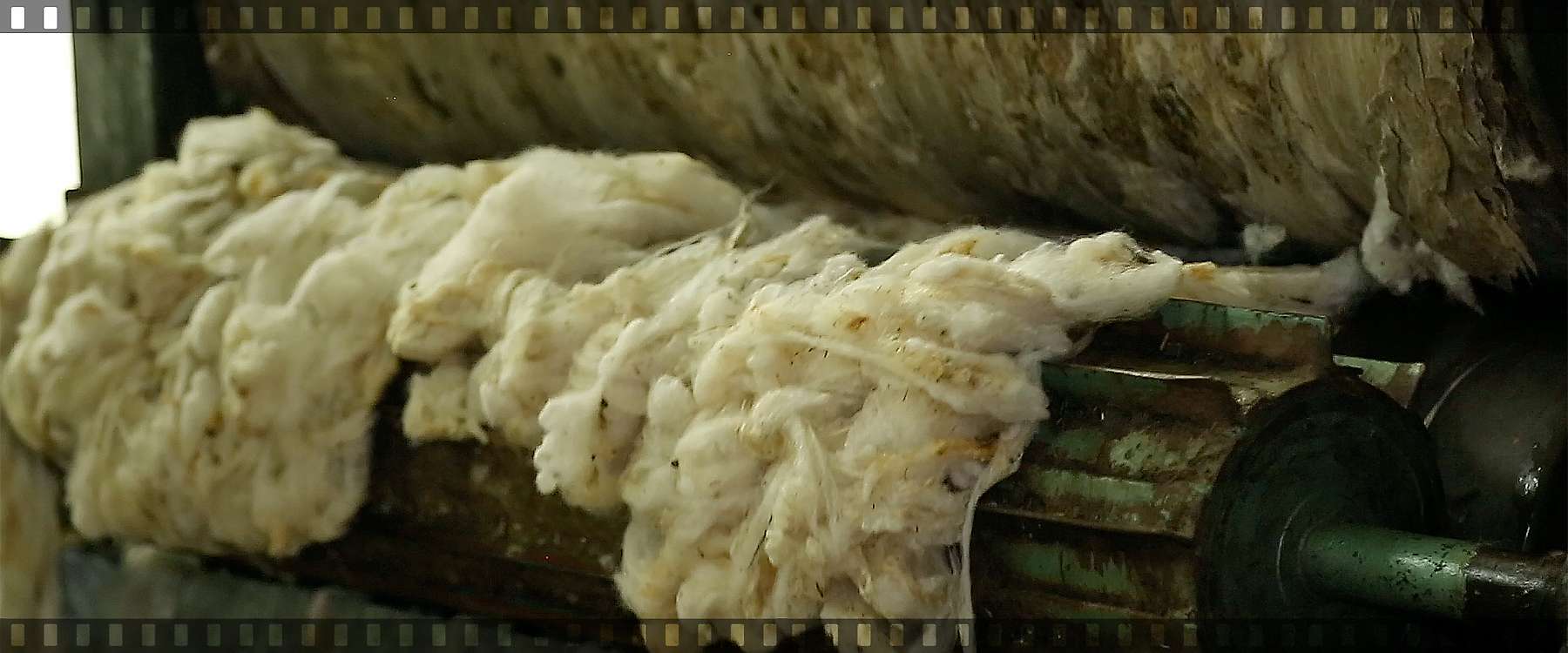 Video of the wool scouring in Vučje for Revolana Biodom (en)