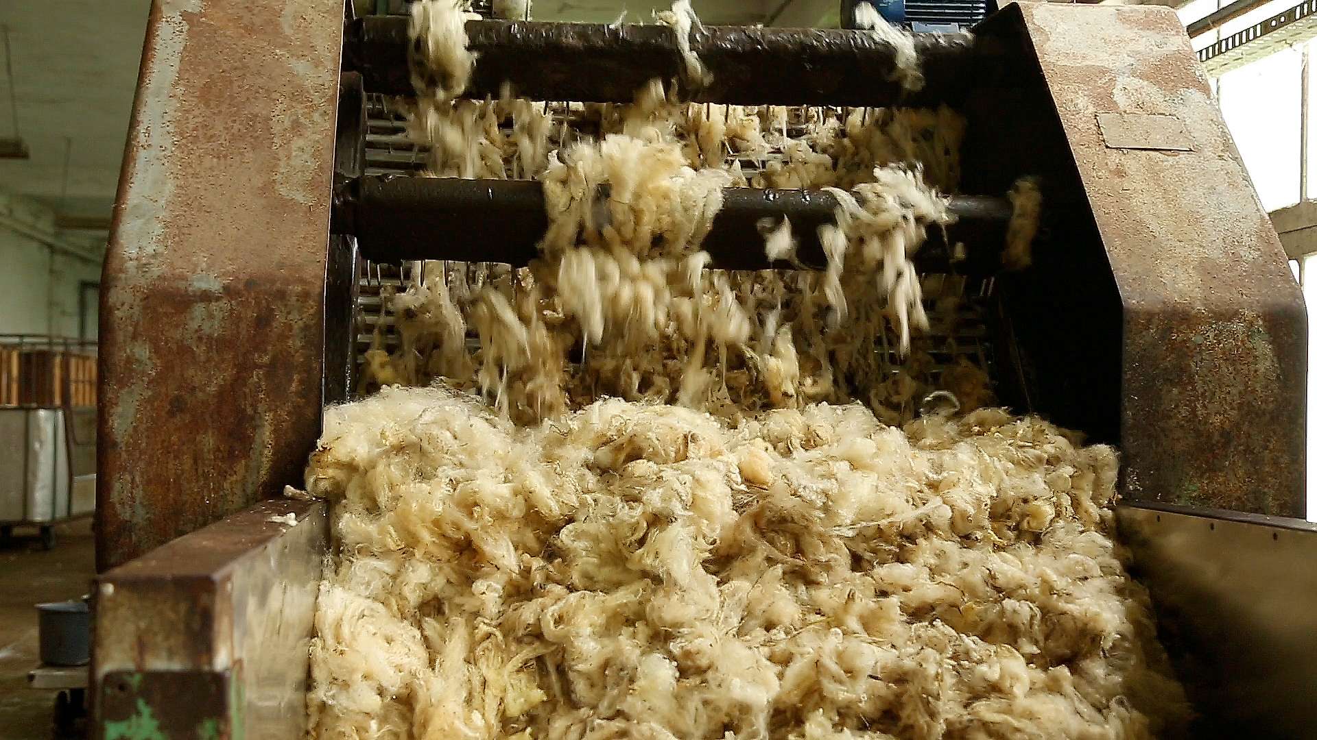 The scouring of wool in Serbia for Revolana products Biodom (en)